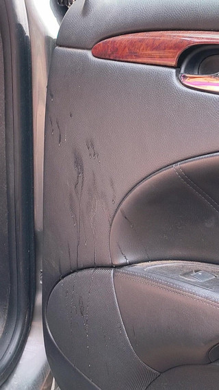 HerculesnVENUS: Slurping up Every Drop After I've Came Hard in the...