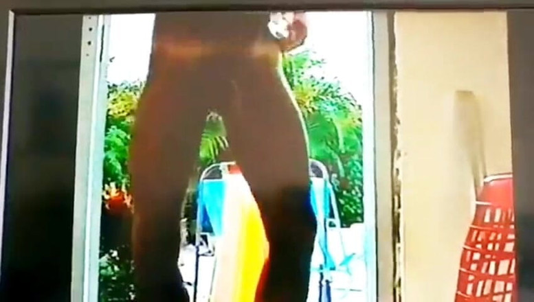 Cory Bernstein: Vintage Rok 2000 słynna zagubiona gwiazda sex tape Cory Bernstein, Szarpanie...