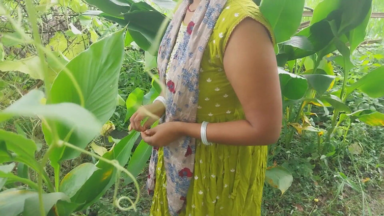 Pooja raniji: Indische bostuin in de buurt van mijn huistuin buiten hete...