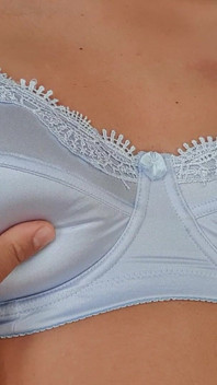 Classic Blue Bra