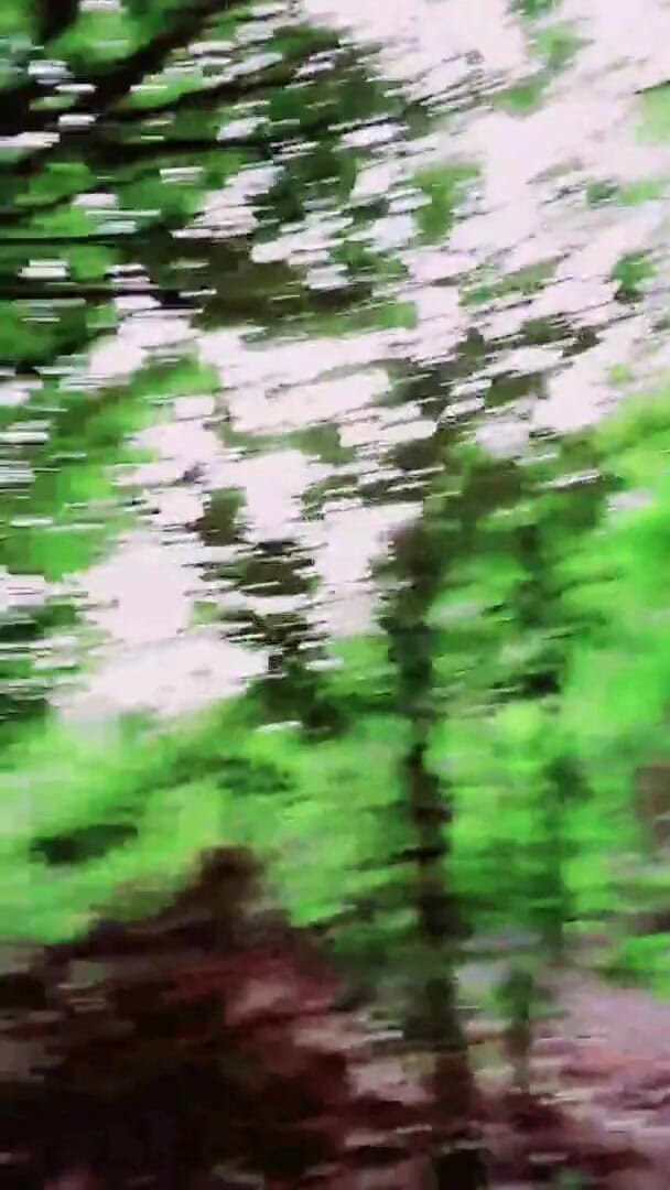 Slutboyben: Slutboyben Cam4 Jelajah Seksi