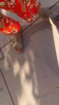 Podróżowanie Redbone z Pretty Red's w South Beach