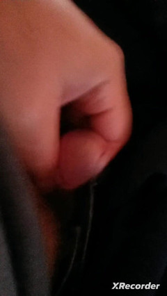 The Small Bull: Early Morning Fap