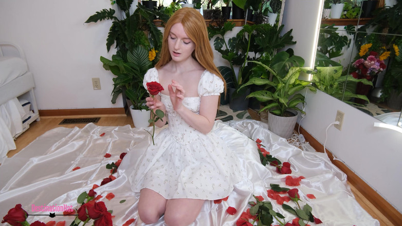 Destination Kat: 당신의 리그에서