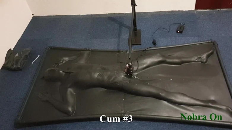 NL Milking: Vacbed和Nobra与定时器
