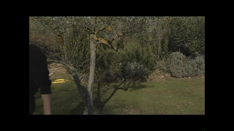 XTime Vod: The Adventures of Monella