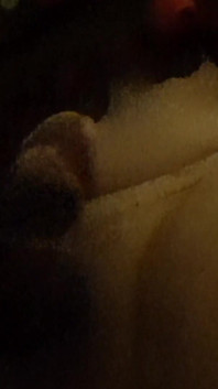 Slut Heart