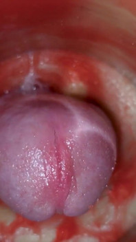Sperma Ohne Sperma. Ausgezeichnete Interne Kamera. 4K