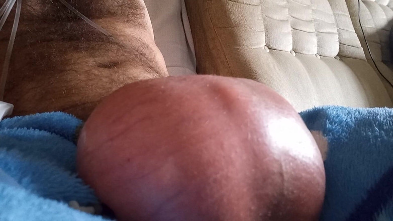 Lion big balls: Balls Saline