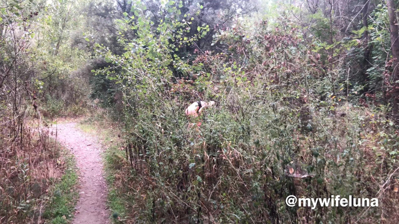 My Wife Luna: Jogging dans la nature