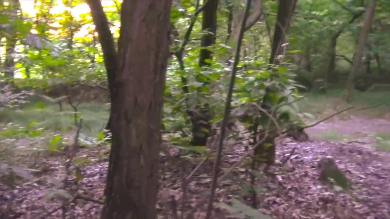 BELLOeBIOTTO: Cumshot yang bagus dan panjang, tanpa baju, di hutan awam