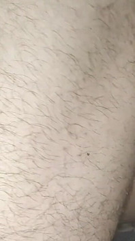 Sdraiato di lato - peloso e con il sedere, veloce da dietro