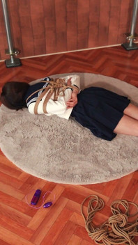 A Body Being Bound, Until the Girl Is Reduced to a Mere Sculpture.