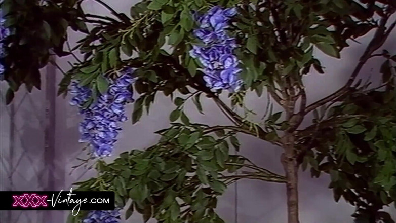 XXX-Vintage: Jeden po drugim