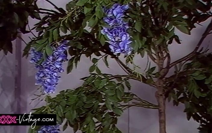 XXX-Vintage: Lần này đến lần khác