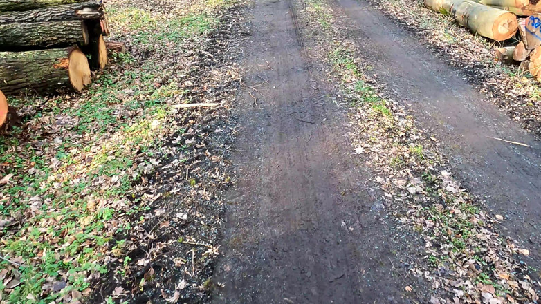 Bouncy Tits Action: Pussy Slapping Mit Dem Lineal Im Wald
