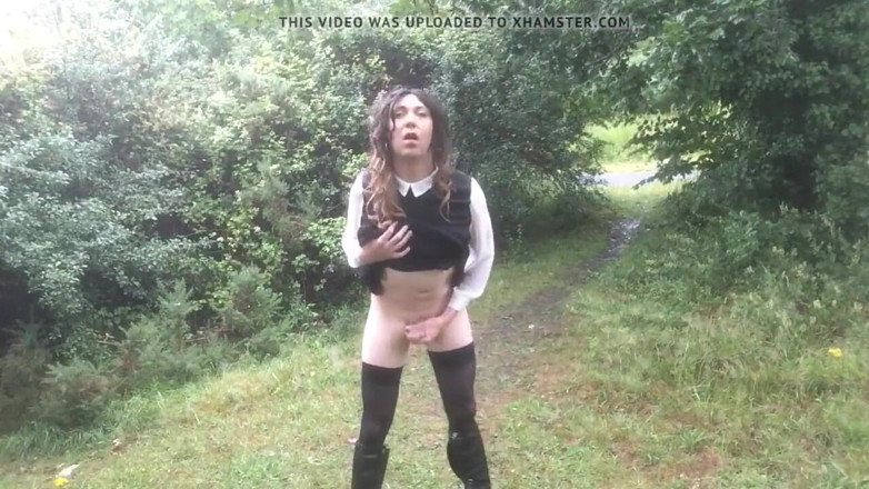 The Midnight Minx: Птичка наблюдает за ульем