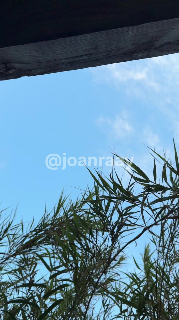 joanraay: पार्क में मेरी गांड के साथ खेलना