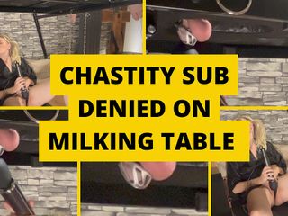 Mistress BJQueen: Chastity Sub Denied on Milking Table