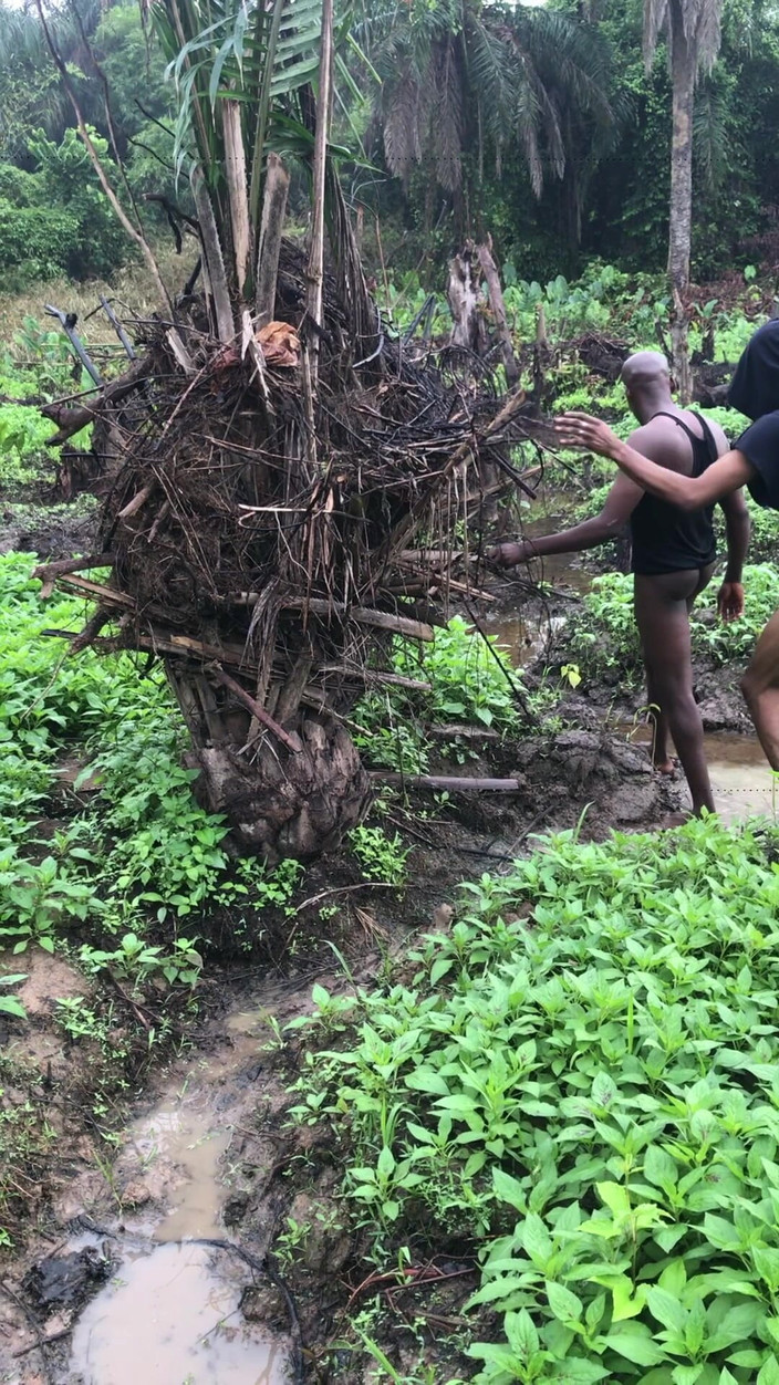 Sexylary: Scopa dentro una fattoria land rounder le mie acque paludose