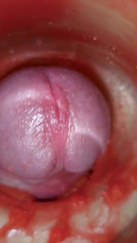 Cum Without Sperm. Excellent Internal Camera. 4K