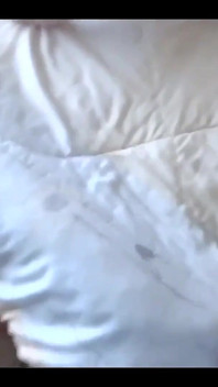 Beautiful Stepmother Shows off, Gets on All Fours and Asks Me to Fuck Her