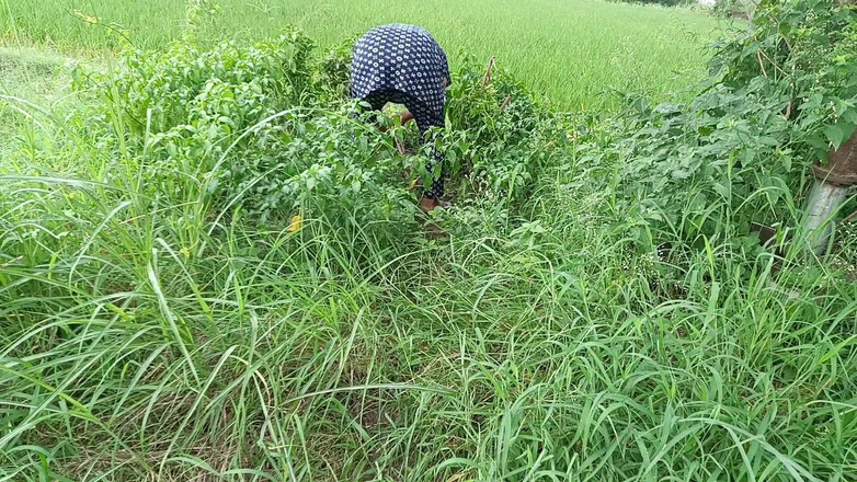 MHM: I video di sesso all'aperto più visti