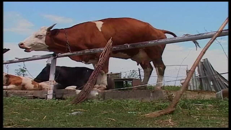 Vintage Movies XXX Best of: Vintage loira milf arrebatada em celeiro e ao ar livre