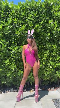 Pink Bunny