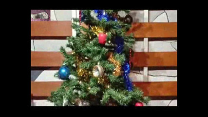 Casal Gresopio Male: Babbo Natale Si Accarezza a Natale 2025