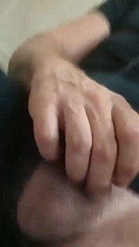 Cazzo Sempre Pieno
