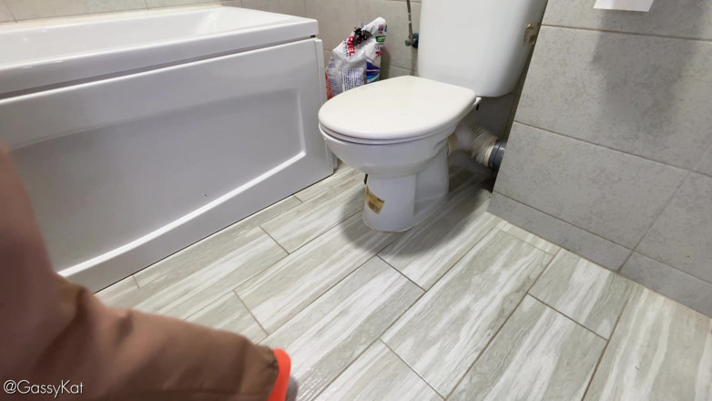 GassyKat: La toilette quotidiana s2 episodio 21