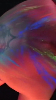 Glow Your Vibe - Blacklight Body Paint Sex