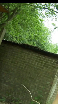 Getatoeëerde lerares en haar studenten spelen met speelgoed in de klas en buiten in de tuin