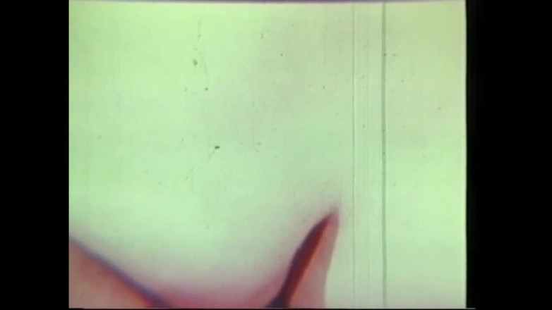 Vintage Usa: 历史猫