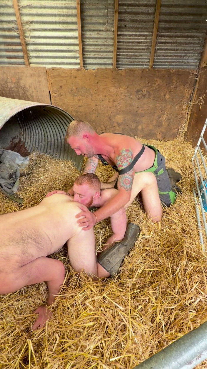 Farmer Sam: Twee piggies en de Boer