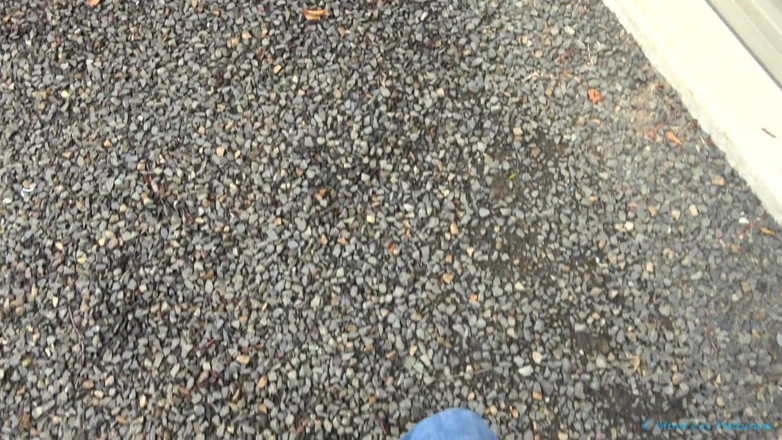 MrxMrsCox: Sugând obiceiul de agresiune al fiului meu vitreg