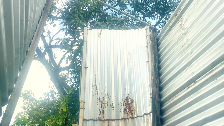 zendella usain: Dívka zachycená v džungli (venkovní kabina)