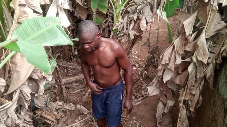 Moviesporn1: Valentýn má vodítko jeden plantain většina čůráků