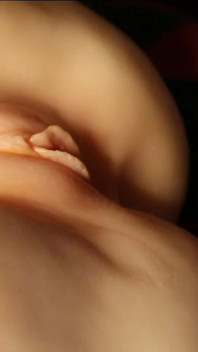 Bela bunda e vagina careca
