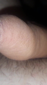 Day Dick
