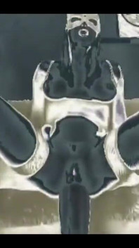 Reels for Anal Feels