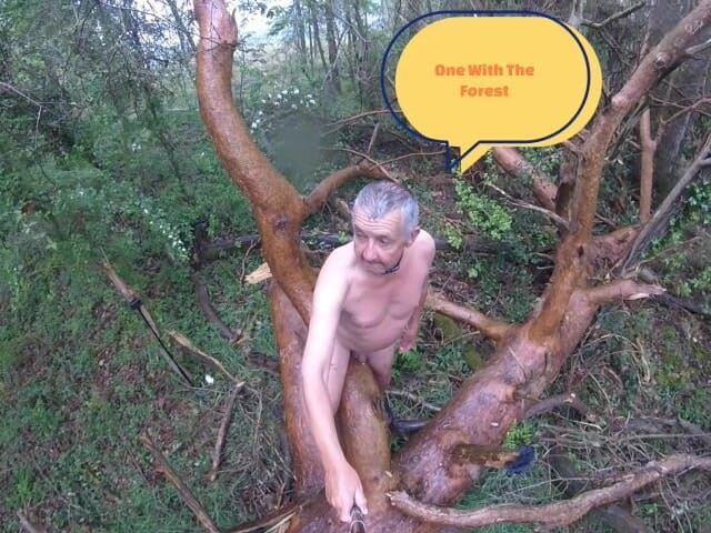 Andy: Things You Find 3