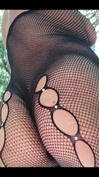 I Love Nets, Lace, Sheer