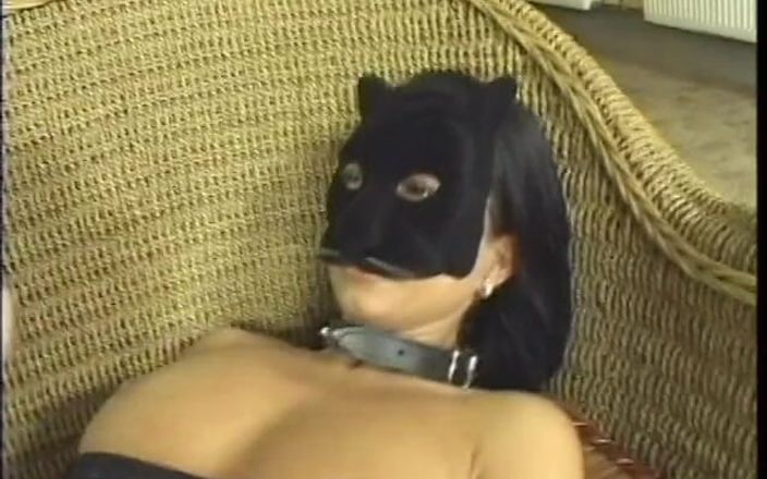 Meet and Fuck: Salacious morena ninfomaníaca em máscara de gato Tera Bond exige...