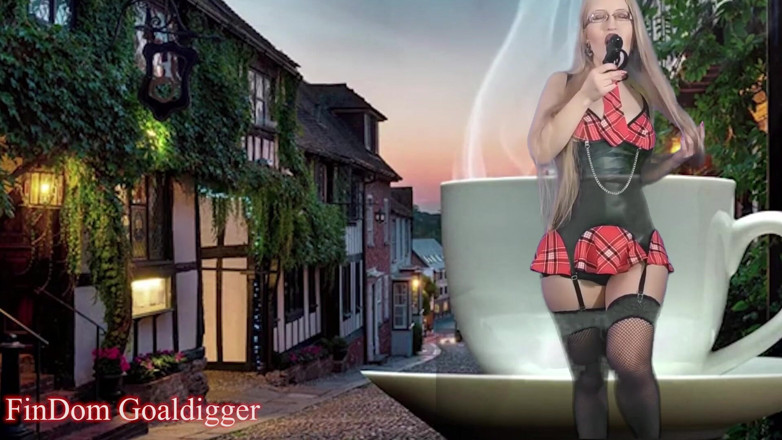 FinDom Goaldigger: First chastity cage lesson
