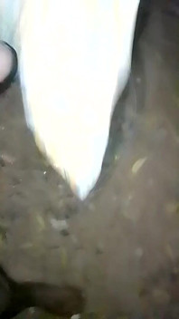 Sora vecinului își face plăcere în timp ce se noaptea, videoclip nou