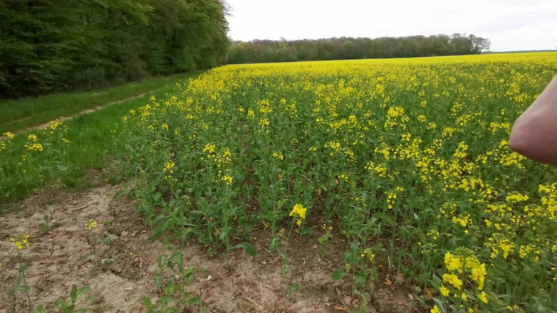 Bouncy Tits Action: Schiacciamento di tette dure