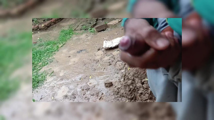 Brijesh 270: सौतेली बहन की स्मृति में बाहर से अलविदा लहराना शुरू किया