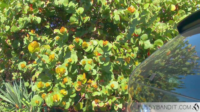 Jonathan Jordan: La riuta è una cagna